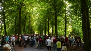 Grünflächen Unterhaltung 2013