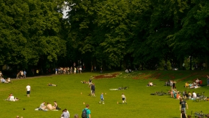 Grünflächen Unterhaltung 2013